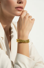 Load image into Gallery viewer, Serpentis Bangle